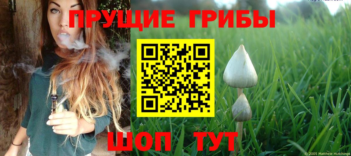 Славгород  Галлюциногенные грибы GOLDEN TEACHER  Вход с VPN  Галлюциногенные грибы Magic Shrooms 
