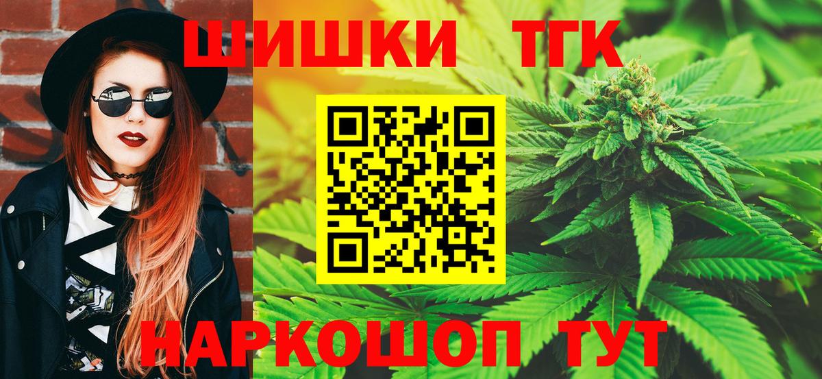 Бошки Шишки планчик Славгород